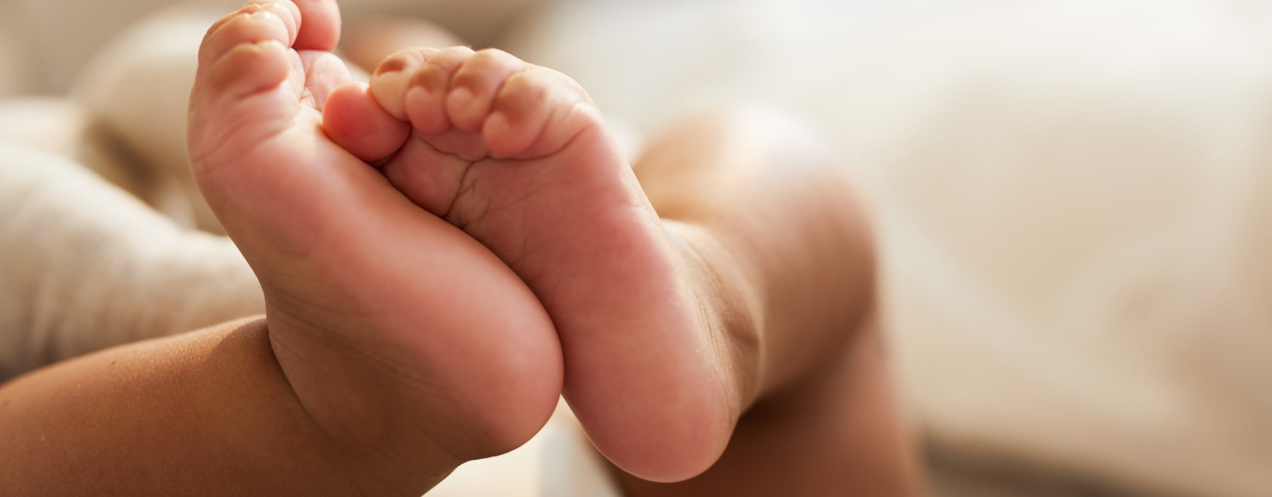 Surrogacy in Mexico